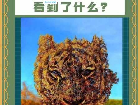 千锤百炼开过什么动物？这个答案可能颠覆你认知！