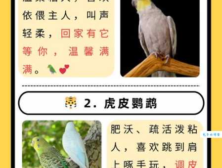 满面春风到底是什么动物？快来看看答案！