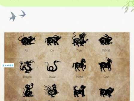 一步三摇的动物解一肖，到底说的是哪个？