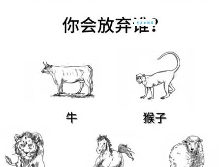 玩转率性任意打一动物，你的性格到底像什么？