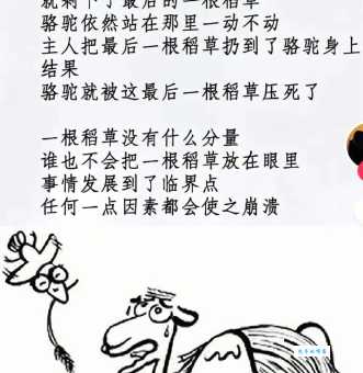 潦草塞责指的什么动物？别再用错这个成语了！