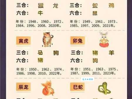 风云人物打一准确生肖，到底是什么生肖呢？