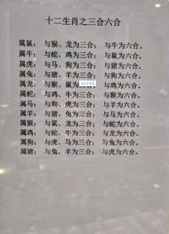 揭秘杏花春雨打一生肖，原来是这个生肖！