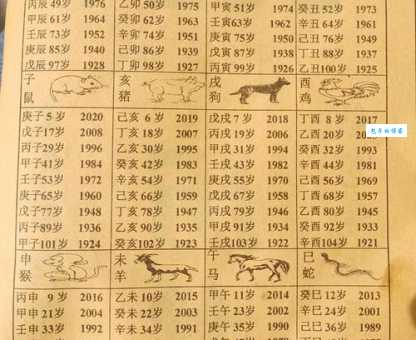 长年累月打一个生肖的正确答案，你猜对了吗？