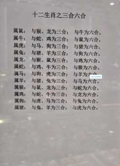 长年累月打一个生肖的正确答案，你猜对了吗？