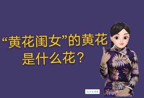 黄花女儿正确打一肖是什么？帮你解开谜题！