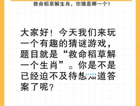 解读老态龙钟最精准一肖：快速找到你的谜底！