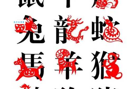 解密“脚不沾地打一肖”：这生肖你绝对想不到！