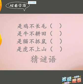 方寸不乱打一准确动物谜底揭晓，原来是这个动物！