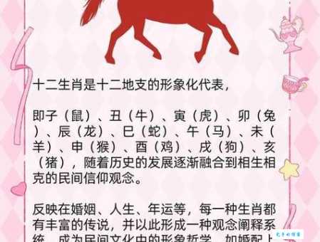 探究一三四七志气高是什么生肖？原来是这个动物！