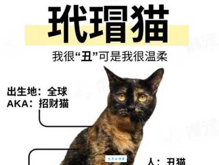 三分文雅风花月代表的动物，很多人都弄错了！