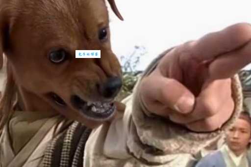 一刀两断是什么动物呢？知道真相后你肯定会笑！