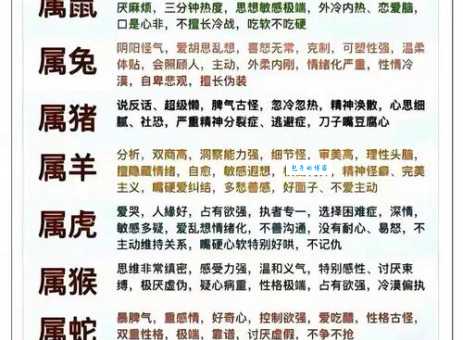 一脚腾飞是什么生肖？揭秘背后的生肖含义！