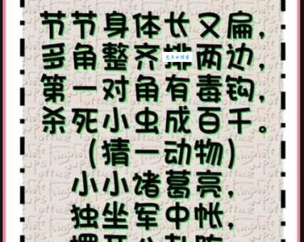 三顾茅庐打一最佳动物究竟是谁？解开这个趣味谜语！