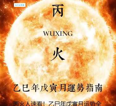 朝阳似火是什么生肖？看完这篇文章你就明白了！
