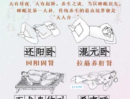 想知道和衣而睡正确一肖？这里有最全的解析！