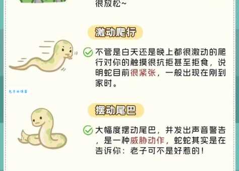 红口白牙是什么动物？轻松识别谜题背后的真相！