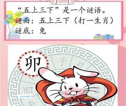 解开头撞南墙打一正确生肖谜题，看完就懂了！