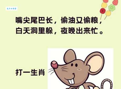 解开头撞南墙打一正确生肖谜题，看完就懂了！