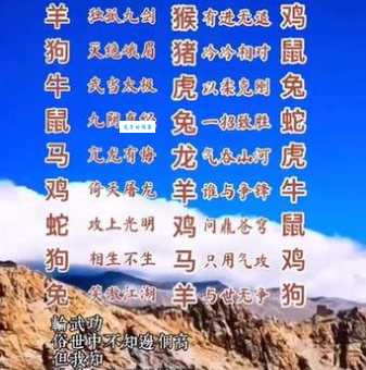 风和日丽打一个最佳生肖？快来揭晓答案！