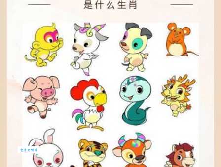 再三再四是指哪个生肖？原来是这个动物！