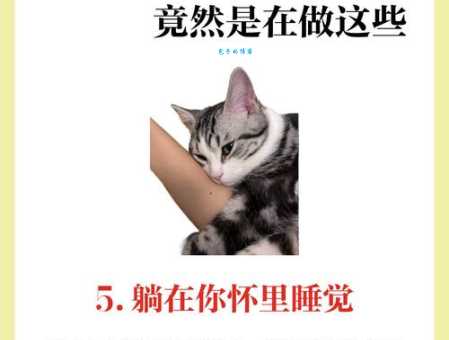 快速锁定好吃懒做的动物正确答案，就是它！
