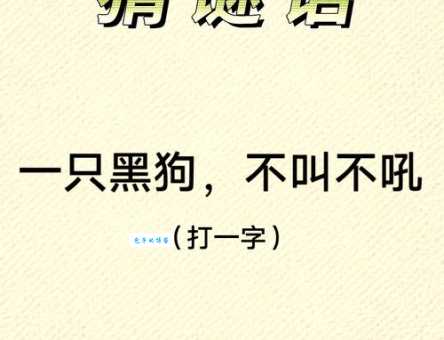 才高八门打一动物？这个谜题难倒了很多人！