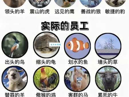 小百科：皮厚头顶双枪走是什么动物？看完你就全懂了！