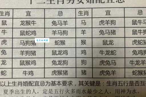 士兵解十二生肖哪个肖？背后的含义是什么？