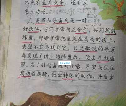 为什么翩翩起舞打一正确动物会难倒你？答案揭晓！
