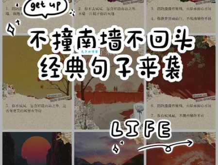 不撞南墙打一生肖谜底揭晓，看完你就知道是它了！