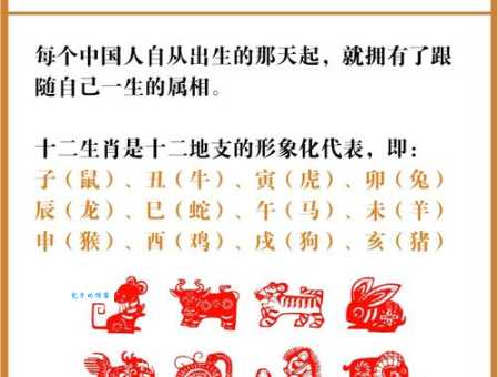 息息相关是什么生肖？原来是这个意思！