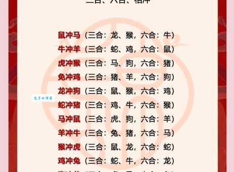 天下一家打一生肖是哪个？这个生肖代表团结！