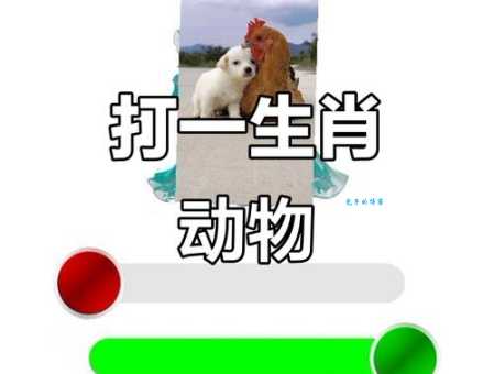 欲钱买三心二意的动物怎么猜？轻松掌握秘诀不再错！
