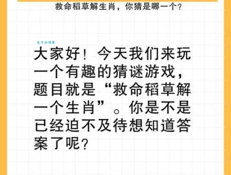 欲钱买三心二意的动物怎么猜？轻松掌握秘诀不再错！