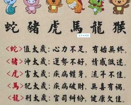 行雷布阵施大雨是什么生肖？看完你就懂了！