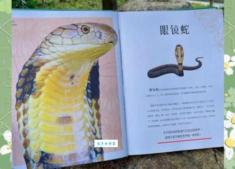 殊途同归最佳答案什么动物？原来是这个神奇生物！