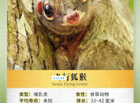 殊途同归最佳答案什么动物？原来是这个神奇生物！