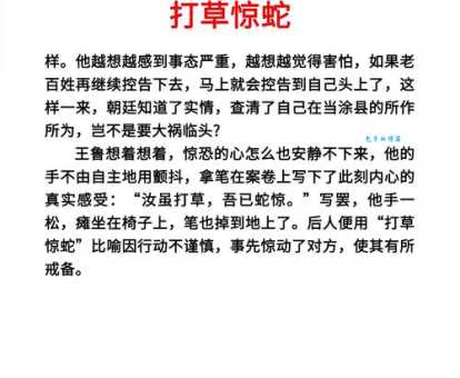 望风而溃打一动物是什么？答案让你意想不到！