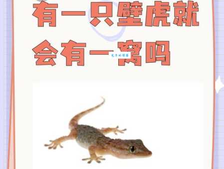 怀璧其罪打一动物是什么？答案揭秘让你大吃一惊！