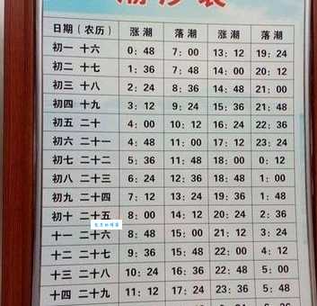 日落西山代表什么生肖？专家为你详细解读其中奥秘！