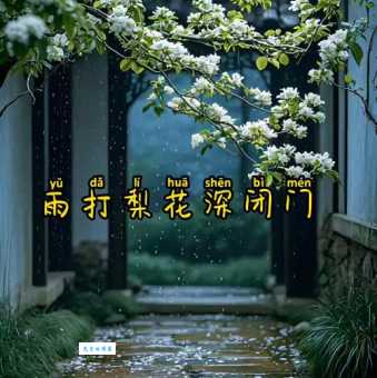 雨打梨花打最准一肖的玄机,看高手如何解析!