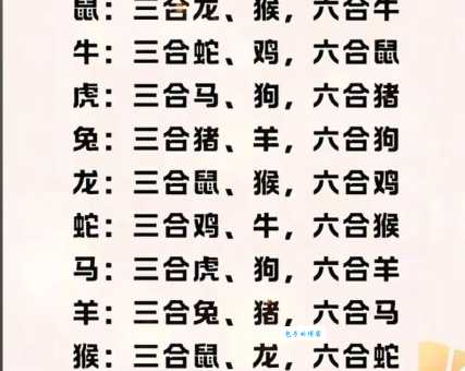 揭秘七手八脚的动物是什么生肖？别再瞎猜了！