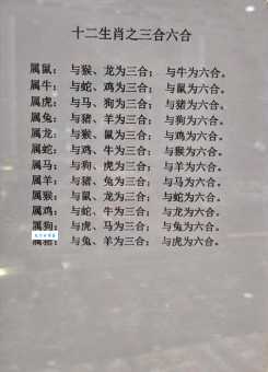 揭秘自讨没趣打一最佳生肖背后，生肖答案公开！