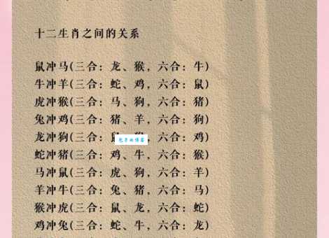 同舟共济是什么生肖？看完这篇文章你就明白了！