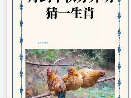 暗渡陈仓打一准确生肖揭秘！原来是这个生肖啊！