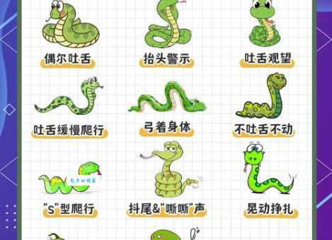 如何理解行百里者半九十正确动物？看完你就明白了！