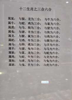 过眼云烟打一个生肖，正确答案到底是什么？