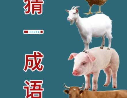 患难与共打一动物，很多人都猜错了它的名字！