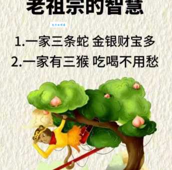 想知道哪个生肖能坐享其成？坐吃享福属这一个！